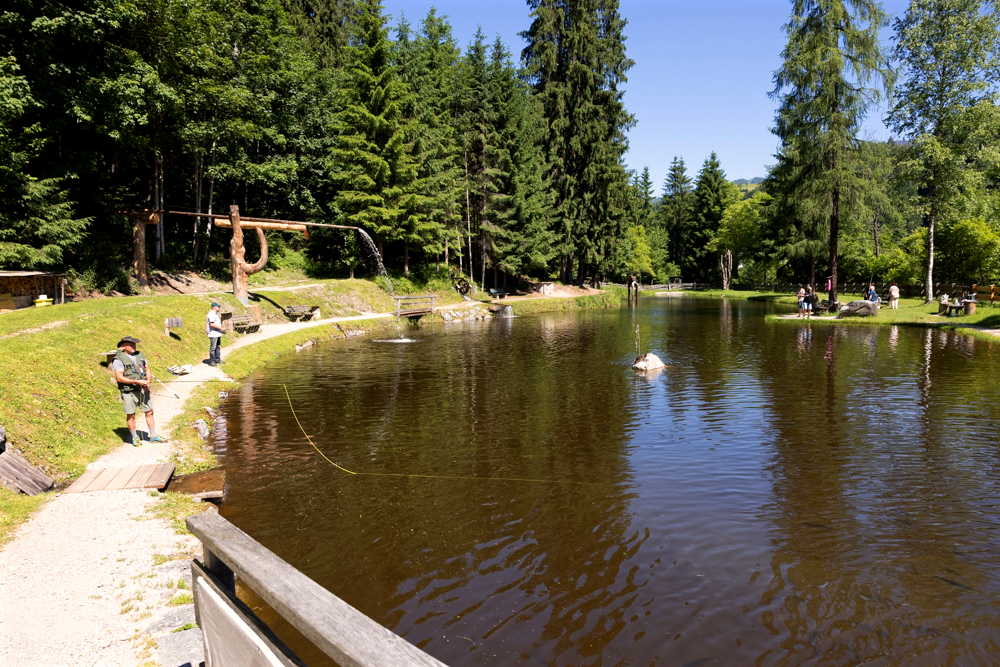 Lärchenteich / Fischteich Hopfgarten