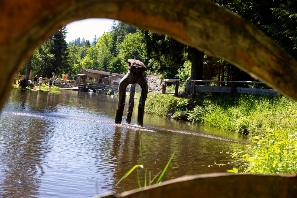 Lärchenteich / Fischteich Hopfgarten