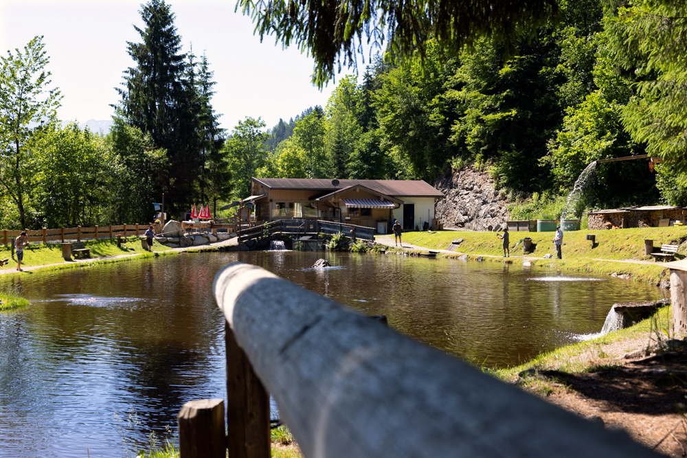 Lärchenteich / Fischteich Hopfgarten