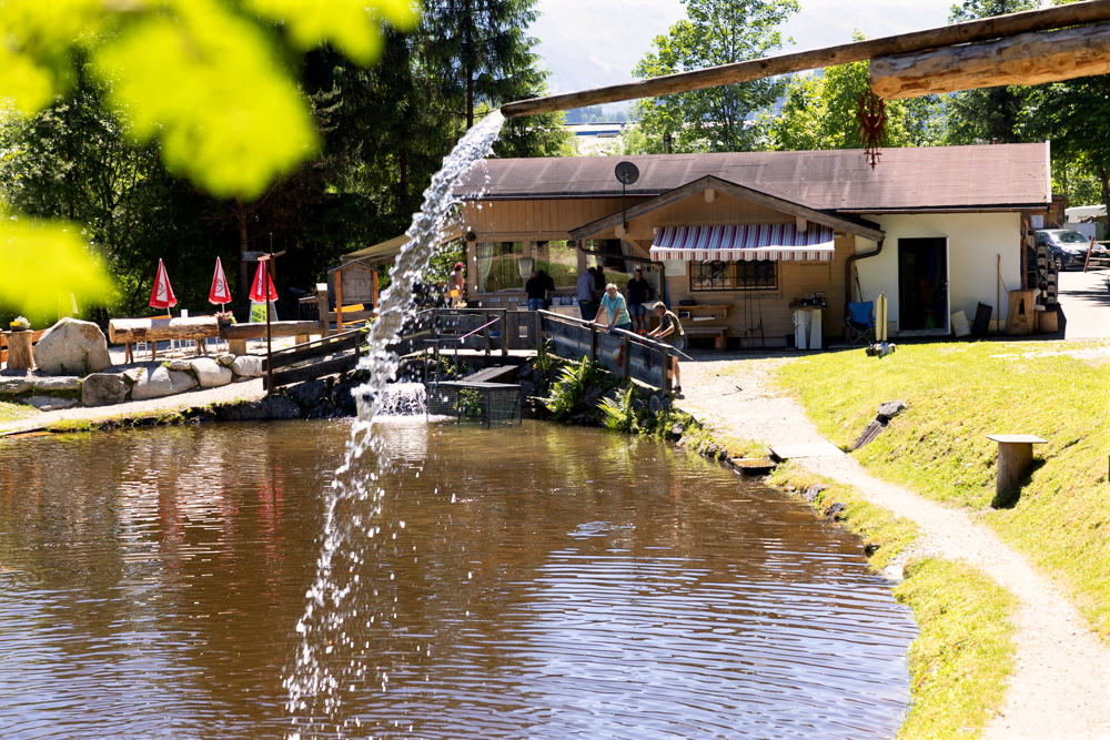 Lärchenteich / Fischteich Hopfgarten